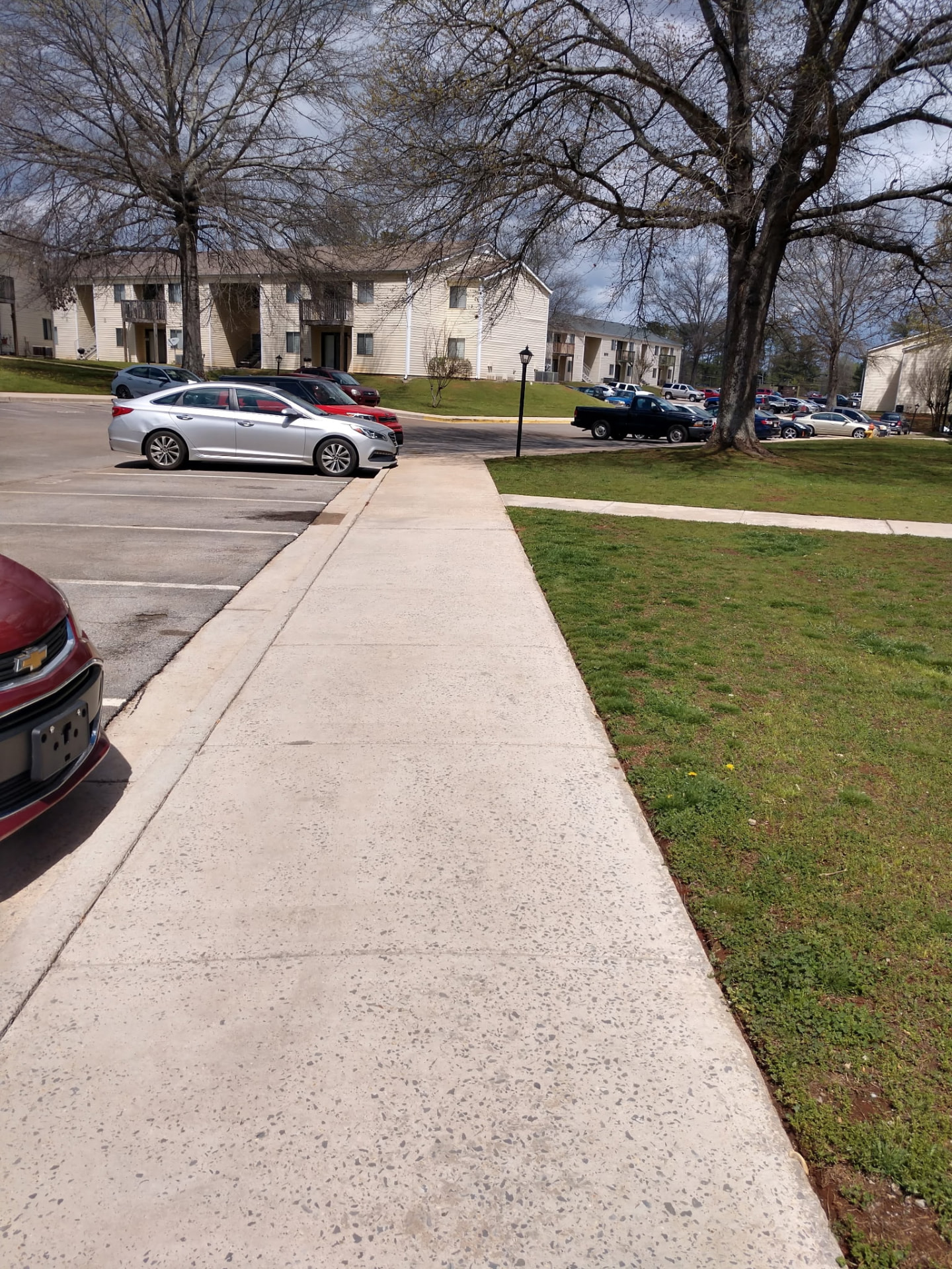 Before and after Driveway & Concrete Cleaning