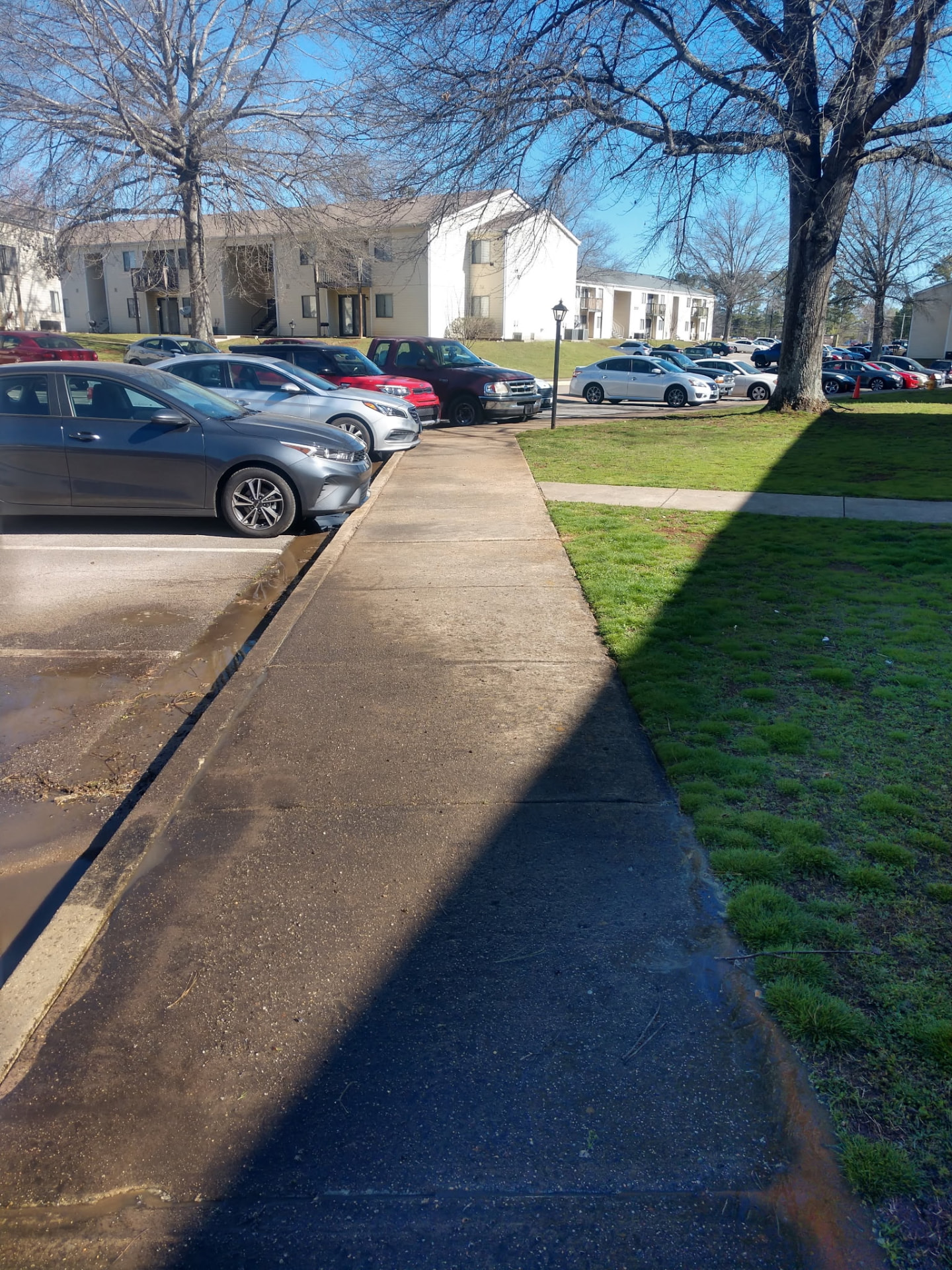 Before and after Driveway & Concrete Cleaning