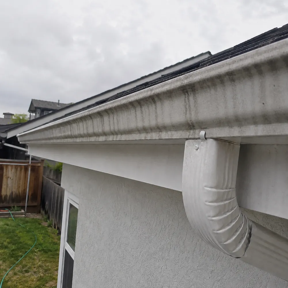 Before and after House Washing
